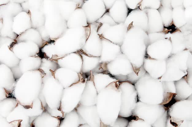 Cotton